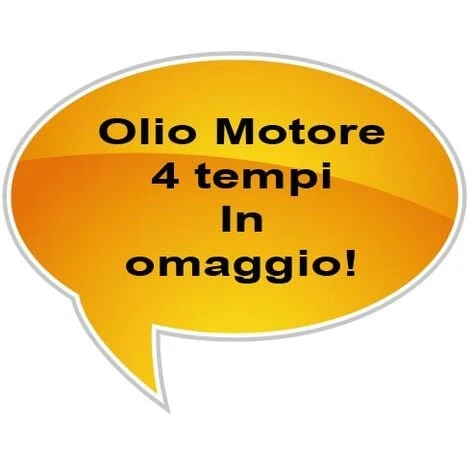 Motofalciatrice EUROSYSTEMS Mod. M 210 Bilama - Marcia Avanti - Motore A Scoppio B&S 625 Series A Benzina - MADE IN ITALY 2 Motofalciatrice EUROSYSTEMS Mod. M 210 Bilama - Marcia Avanti - Motore A Scoppio B&S 625 Series A Benzina - MADE IN ITALY - immagine 2