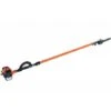 Potatore Telescopico Echo PPT-2620ES Per Uso Professionale Con Motore A Scoppio