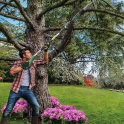 Potatore Elettrico Telescopico Motosega 750W Estensibile Sega A Catena Lama 25cm -Diserbo Forniture Negozio 17254637 5