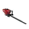 Tagliasiepe A Scoppio Motore Benzina Einhell Gc-ph 2155 Per Cura Taglio Giardino
