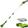 Greenworks Potatrice Ad Asta A Batteria G40PSFK2 Sciabola Li-Ion 40V, 20 Cm Lunghezza Sciabola, 8 M/s Velocità Della Catena, Barra Di Alluminio, 3 Pezzi Di Cui 2 Ah Batteria E Caricabatterie Incluse