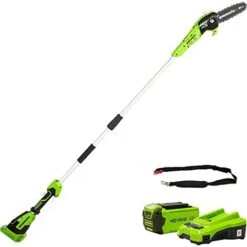 Greenworks Potatrice Ad Asta A Batteria G40PSFK2 Sciabola Li-Ion 40V, 20 Cm Lunghezza Sciabola, 8 M/s Velocità Della Catena, Barra Di Alluminio, 3 Pezzi Di Cui 2 Ah Batteria E Caricabatterie Incluse