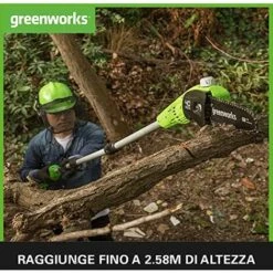 Greenworks Potatrice Ad Asta A Batteria G40PSFK2 Sciabola Li-Ion 40V, 20 Cm Lunghezza Sciabola, 8 M/s Velocità Della Catena, Barra Di Alluminio, 3 Pezzi Di Cui 2 Ah Batteria E Caricabatterie Incluse -Diserbo Forniture Negozio 33416315 3