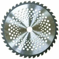 Disco 40 Denti Per Decespugliatore Tungsteno Widia Globex 255 Mm