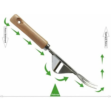 Sgorbia Per Erbacce Manuale In Acciaio Inossidabile Con Manico In Legno 3 Sgorbia Per Erbacce Manuale In Acciaio Inossidabile Con Manico In Legno - immagine 3