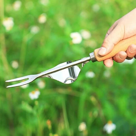 Sgorbia Per Erbacce Manuale In Acciaio Inossidabile Con Manico In Legno 4 Sgorbia Per Erbacce Manuale In Acciaio Inossidabile Con Manico In Legno - immagine 4