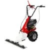 Motofalciatrice EUROSYSTEMS MINIEFFE - Marcia Avanti E Retromarcia- Motore A Scoppio A Benzina Loncin 196 OHV- Made In Italy