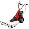 Trinciaerba Falciatutto EUROSYSTEMS MINIEFFE - Marcia Avanti E Retro- Motore A Benzina B&S 625 EXi Series- Made In Italy