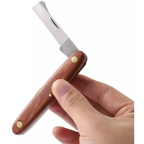 Coltello Da Potatura Per Innesto Pieghevole Da Giardino Frutteto Taglierina Per Piantine Di Alberi Forbice Tosatrice Cesoie Per Vaccinazione Per Alberi Da Frutto (marrone) 3 Coltello Da Potatura Per Innesto Pieghevole Da Giardino Frutteto Taglierina Per Piantine Di Alberi Forbice Tosatrice Cesoie Per Vaccinazione Per Alberi Da Frutto (marrone) - immagine 3