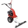Motofalciatrice A Scoppio Motore B&s 3,5 Hp Cm.87