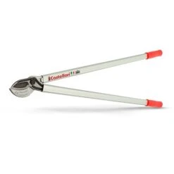 Troncarami 100 - Castellari