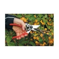 Forbci Da Potatura FELCO 9 Per Mancini -Diserbo Forniture Negozio 88912642 3