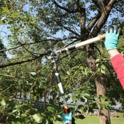 GARCARE Troncarami Telescopico Tagliarami Forbicione Per Potatura Rami Cesoia Da Pota -Diserbo Forniture Negozio 92186566 5