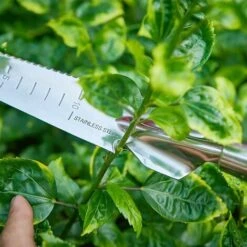 Sarchiatore Manuale In Acciaio Inossidabile Con Manico In Legno 33,5 Cm X 3 Cm Sarchiatore Manuale Da Giardino -Diserbo Forniture Negozio 93931090 5