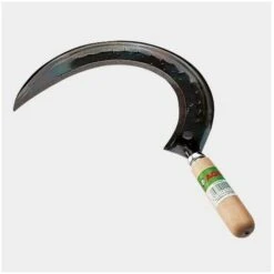 AGEF - FALCETTO ROTONDO