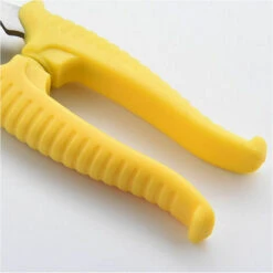 Potatore Di Fiori Piante Bonsai, Abete Da Giardino Acciaio Inossidabile, Forbici Da Fiorista E Giardinaggio Colibrì 20,5 Cm Giallo -Diserbo Forniture Negozio 98125531 5